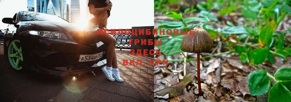 прущая мука Баксан