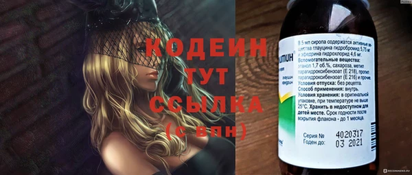 ГАЛЛЮЦИНОГЕННЫЕ ГРИБЫ Рославль